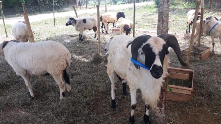 titiknol_1jp_img_20190719_wa0031